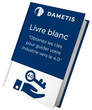 Dametis white paper
