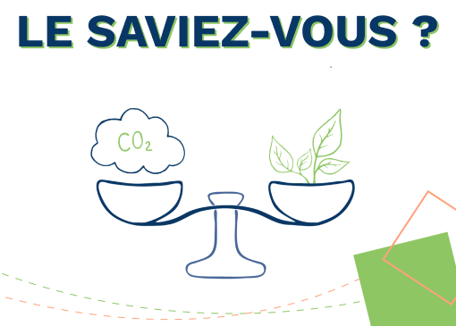 Compensation carbone : définition et enjeux pour l’industrie