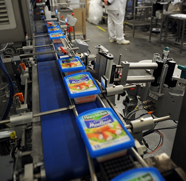 Energy management: the Fleury Michon case