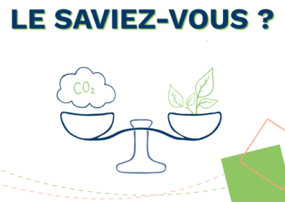 Compensation carbone : définition et défis pour l’industrie