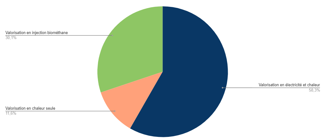 biogas and biomethane