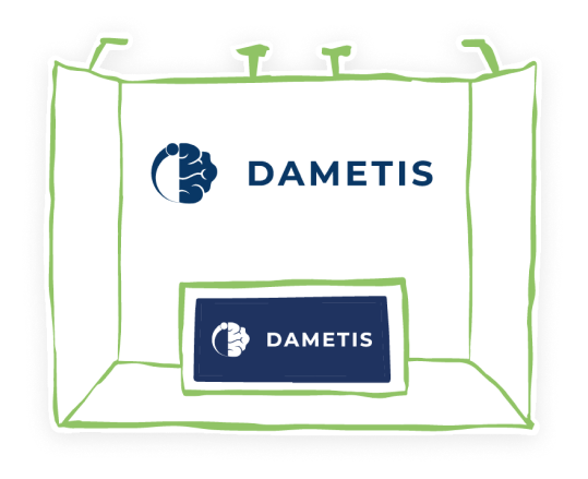 Dametis team photos