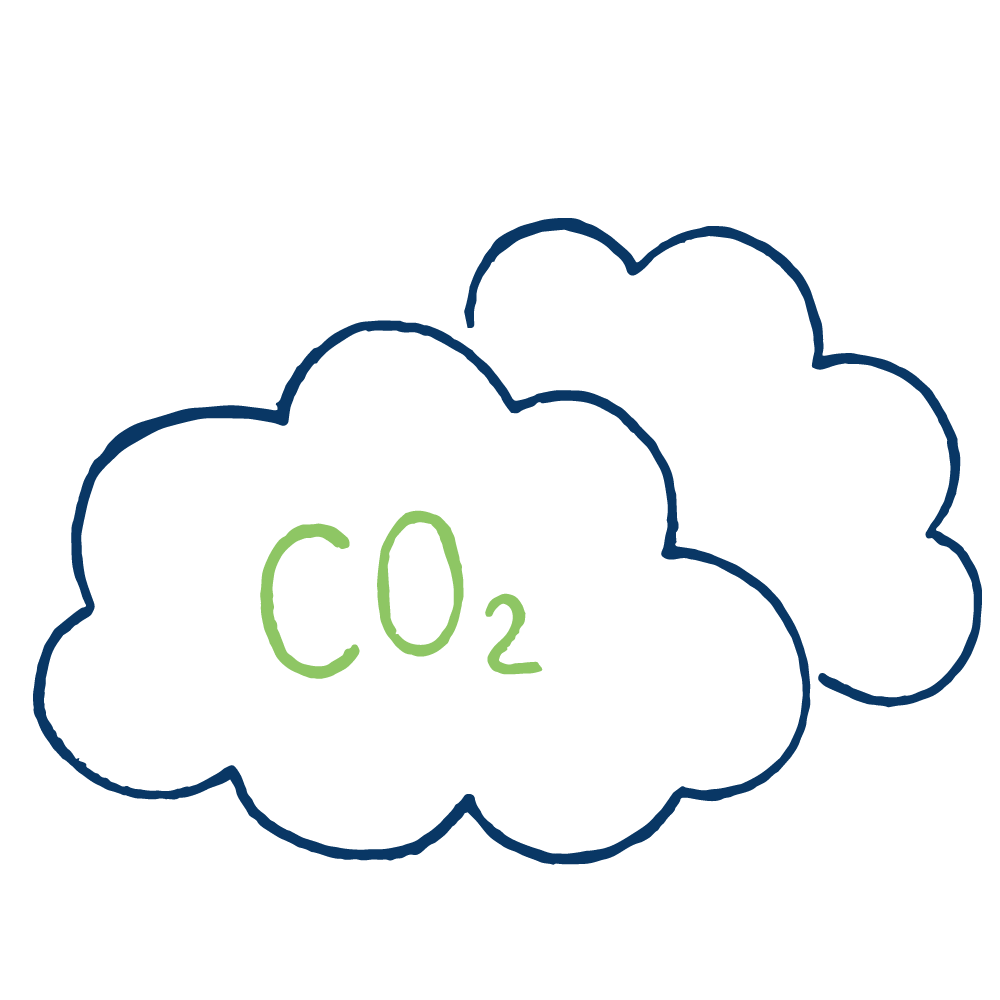 Carbon footprint